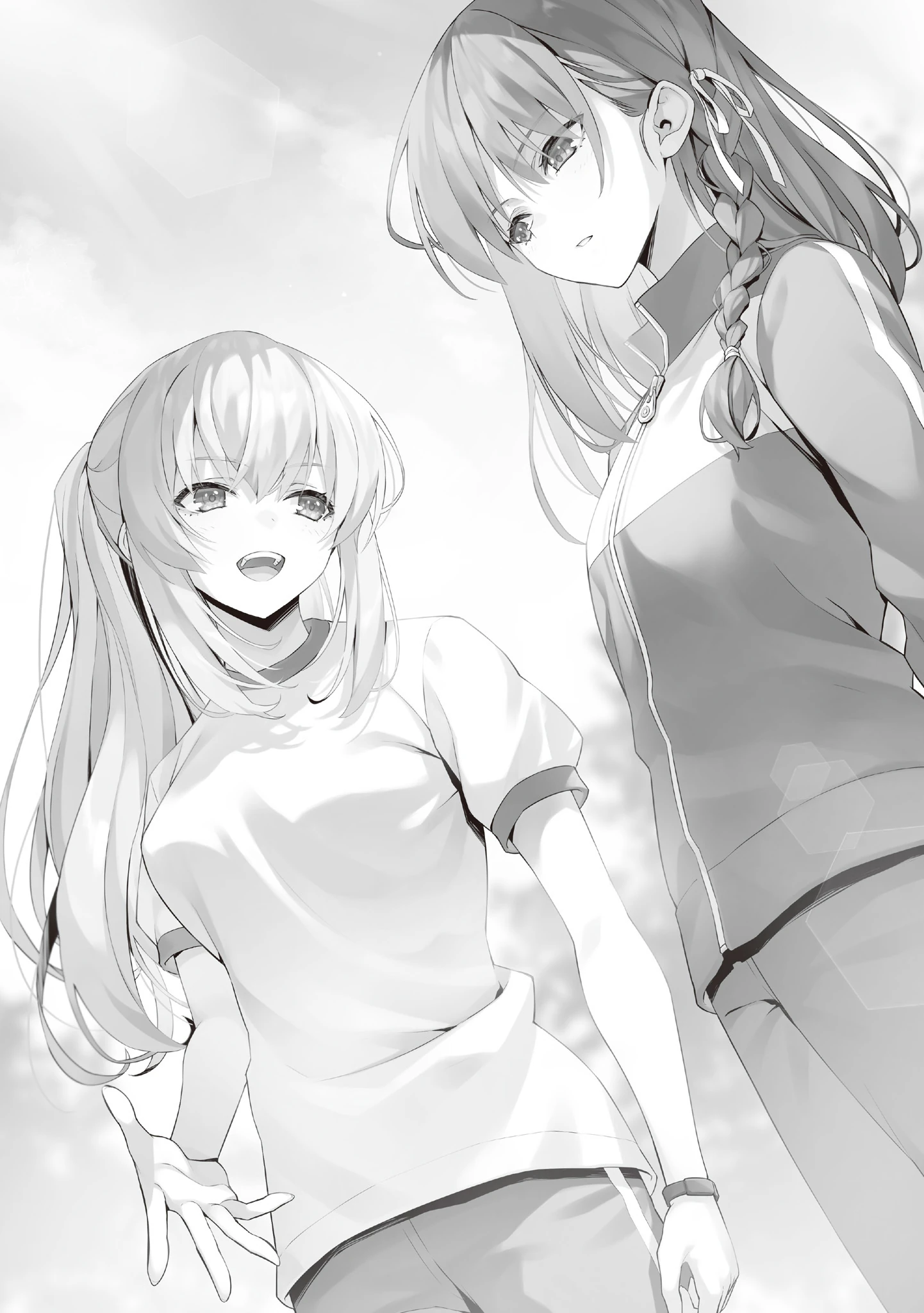 Illustration 1